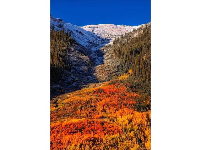 $780,000 | 388 Sequoia Mount, Twin Lakes, CO 81251