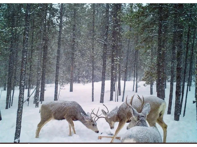 a view of outdoor space yard and patio