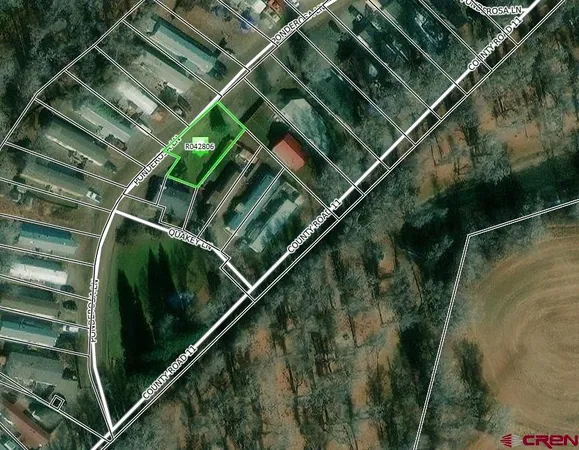 a close up of a plant