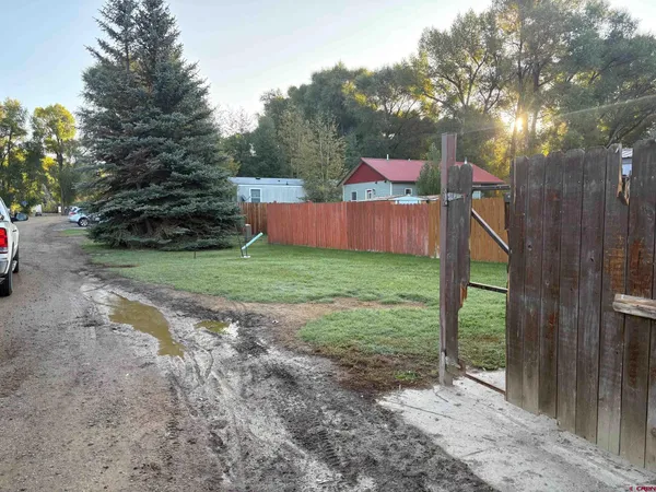 a view of a park with large trees