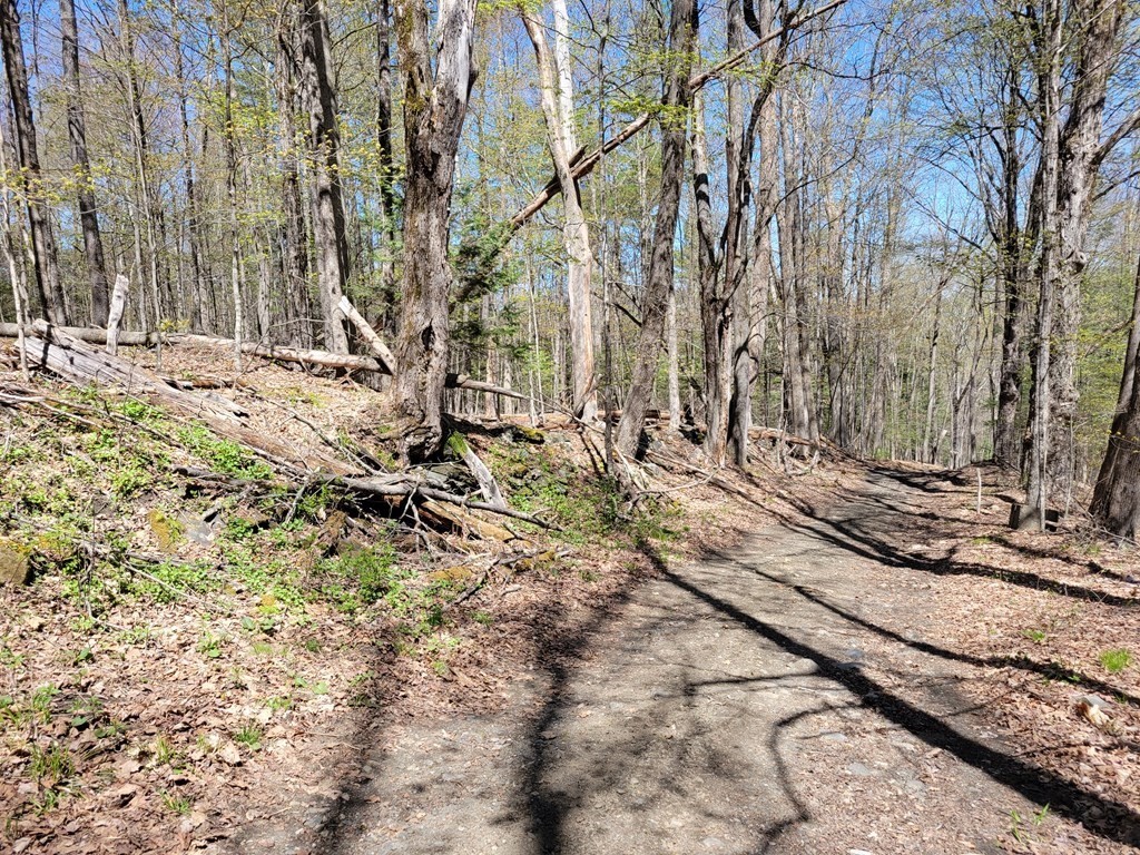 0 East Hill Road Leyden, MA 01337 - Photo 1 of 10 Gallery Image 1
