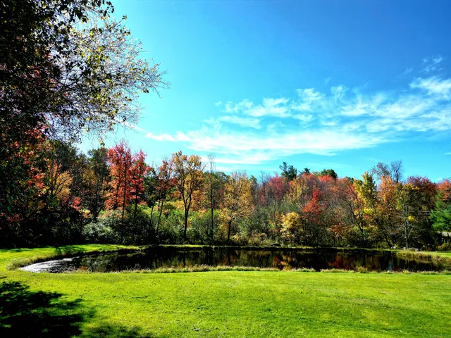 an aerial view of field with trees