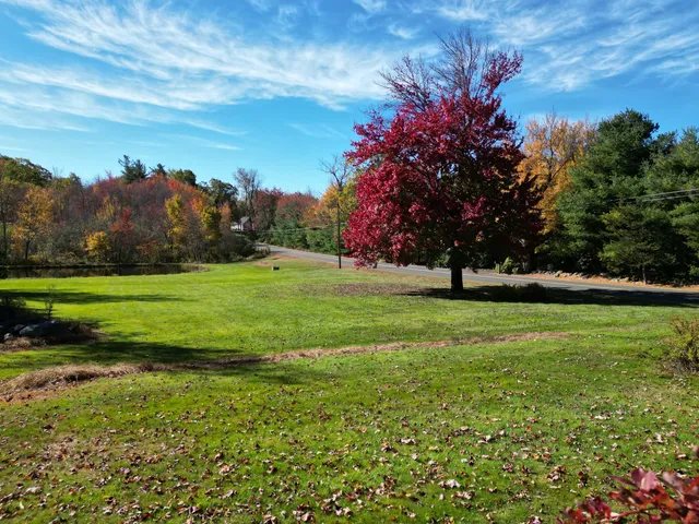 a view of a golf course