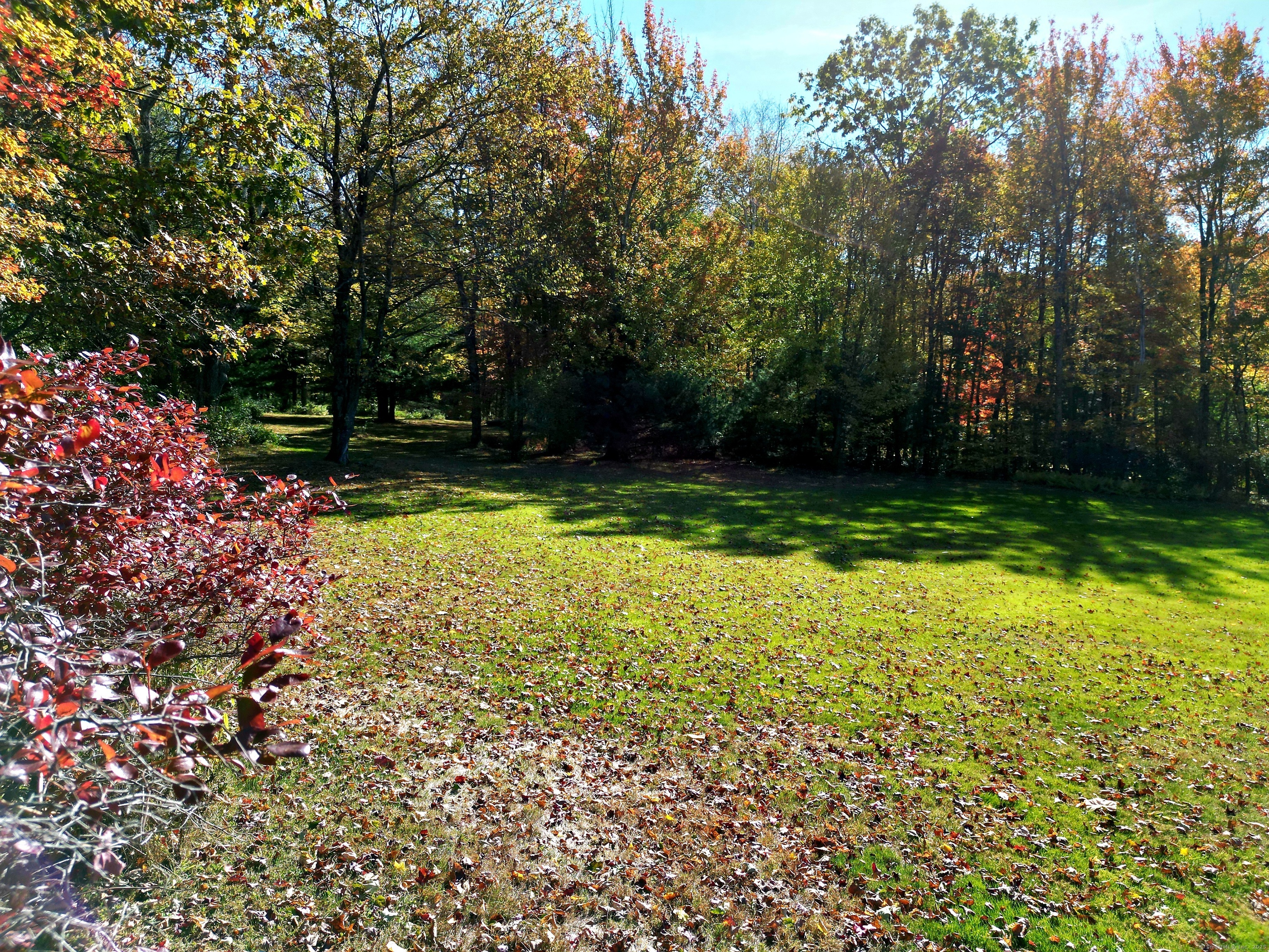 86 Case Street Granby, CT 06090 - Photo 18 of 25 a view of a back yard