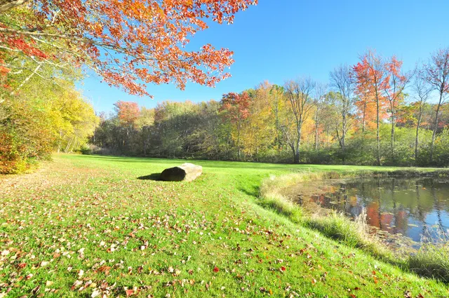 a view of a lake with a yard