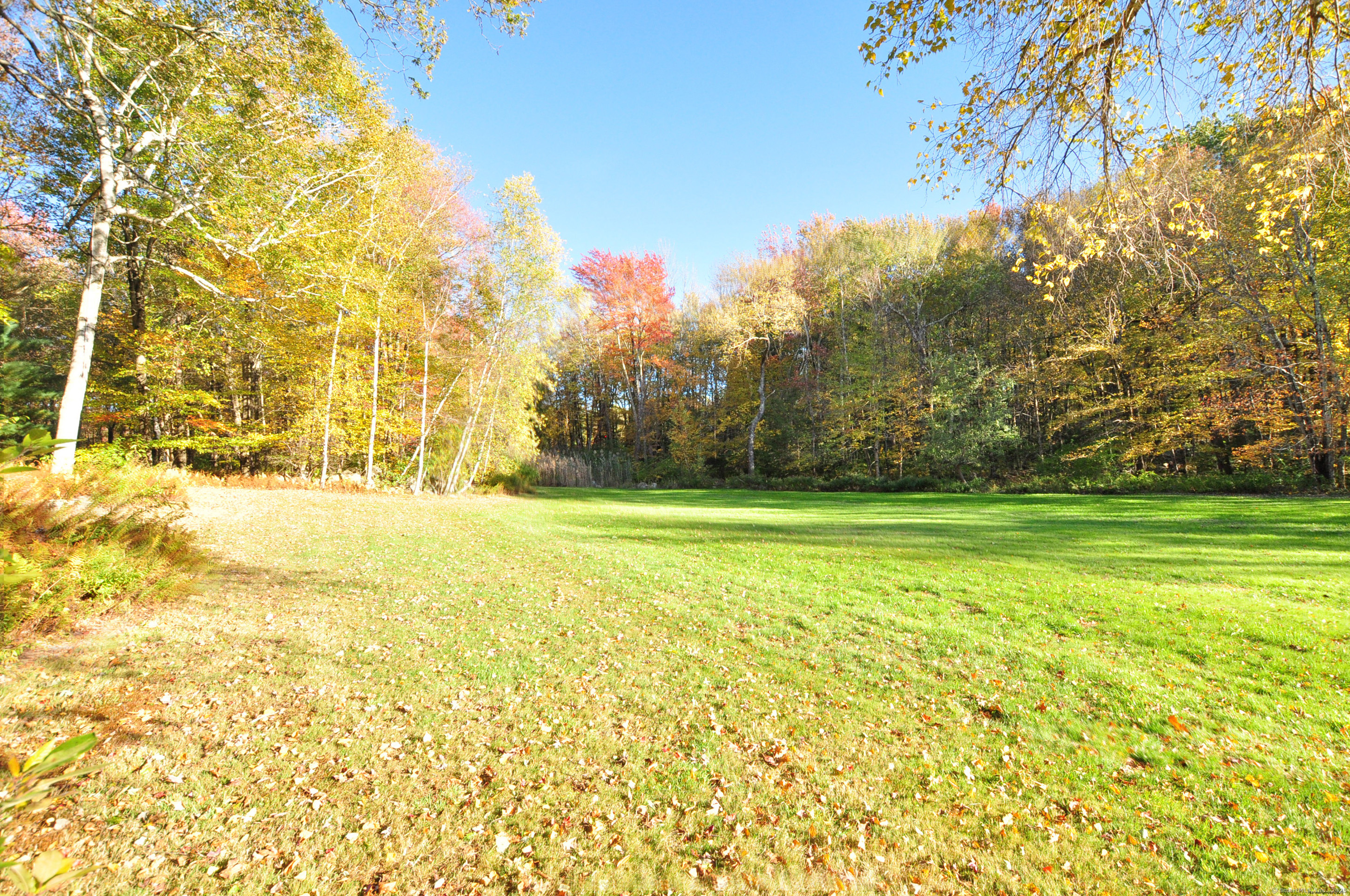 86 Case Street Granby, CT 06090 - Photo 4 of 25 a view of yard with large trees