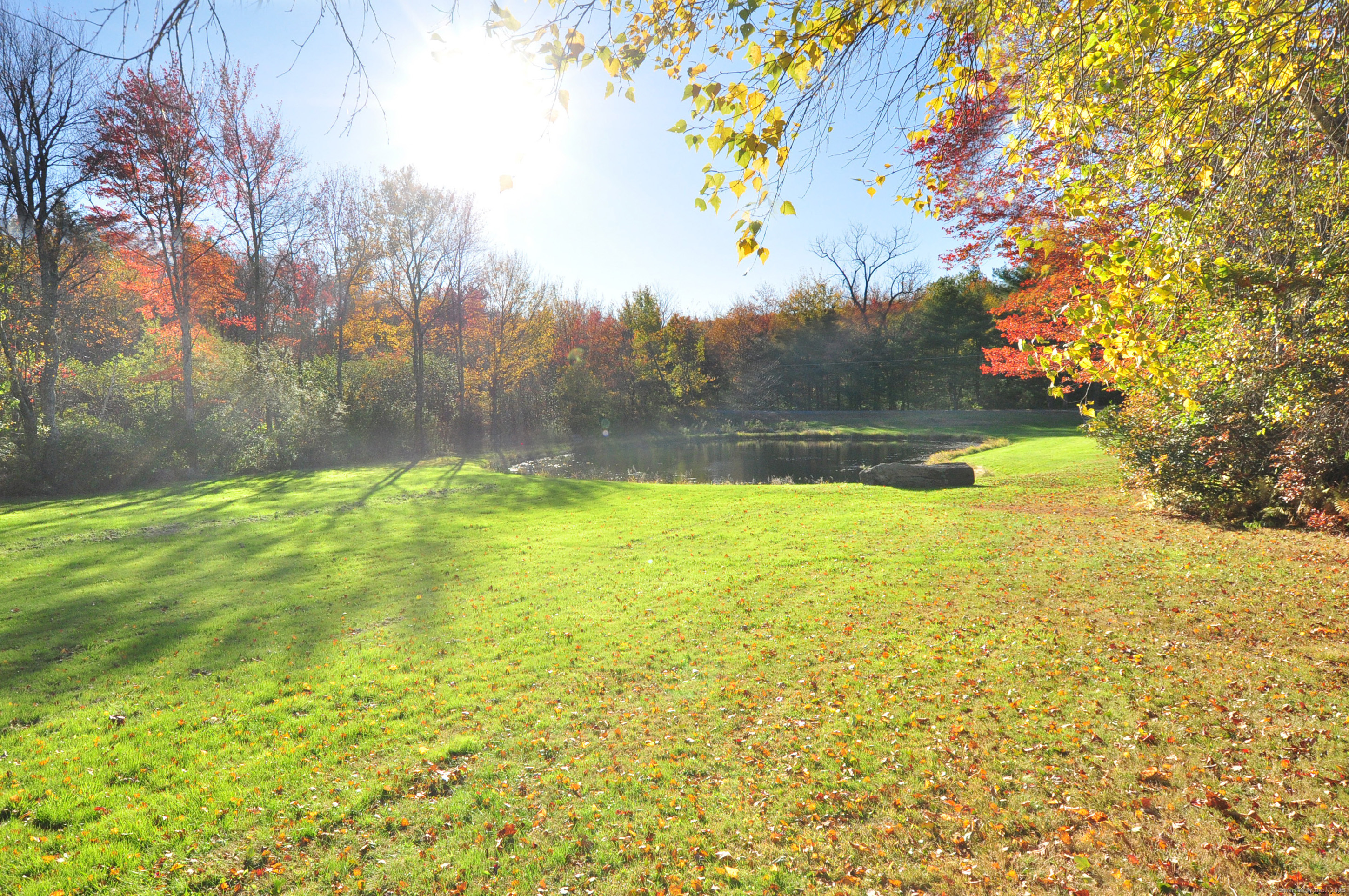 86 Case Street Granby, CT 06090 - Photo 5 of 25 a view of yard with swimming pool and green space
