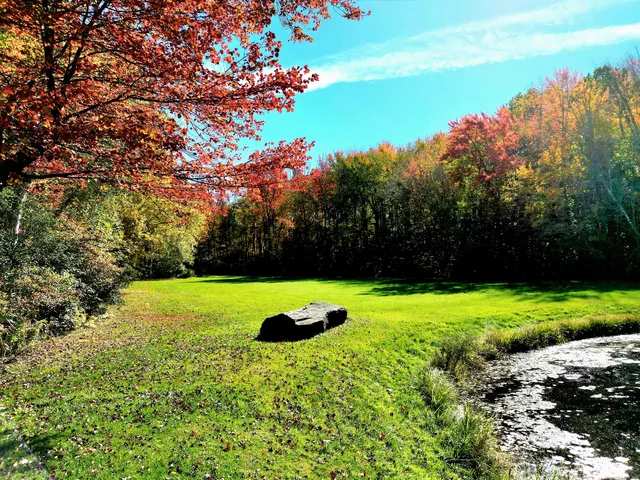 a backyard of a house with lots of green space