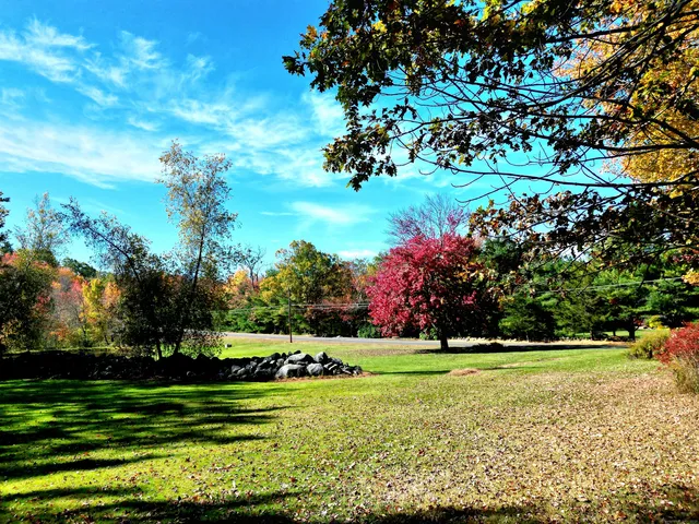 a view of a golf course with a trees