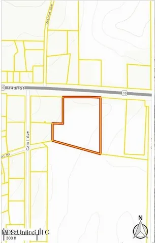 $300,000 | 0 West W Highway, De Kalb, MS 39328