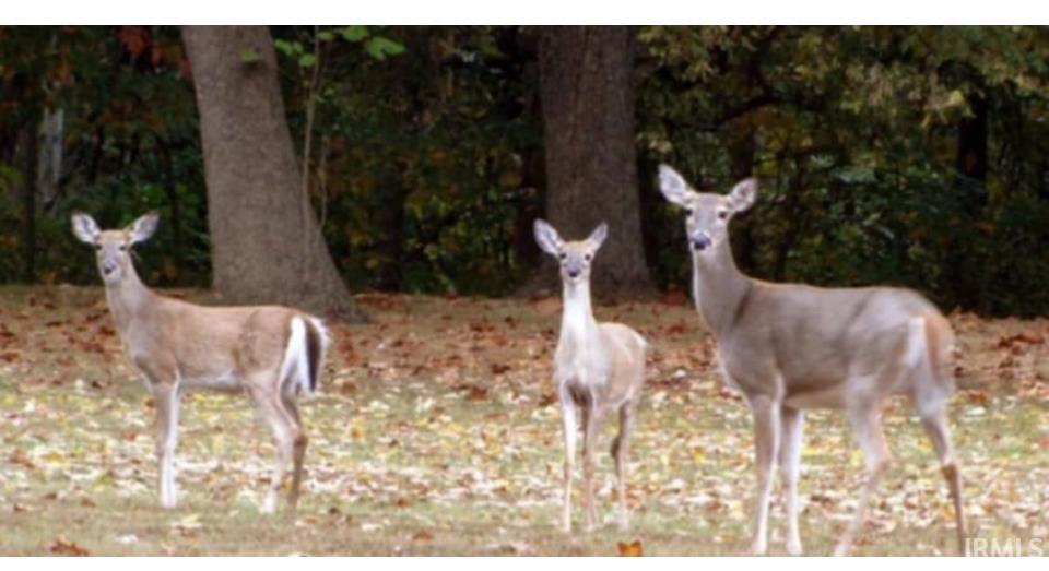 100 North Delaware Lane Somerset, IN 46940 - Photo 18 of 18