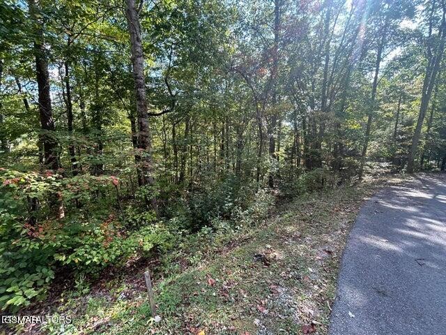 8 Hatcher Top Road Sevierville, TN 37862 - Photo 5 of 13