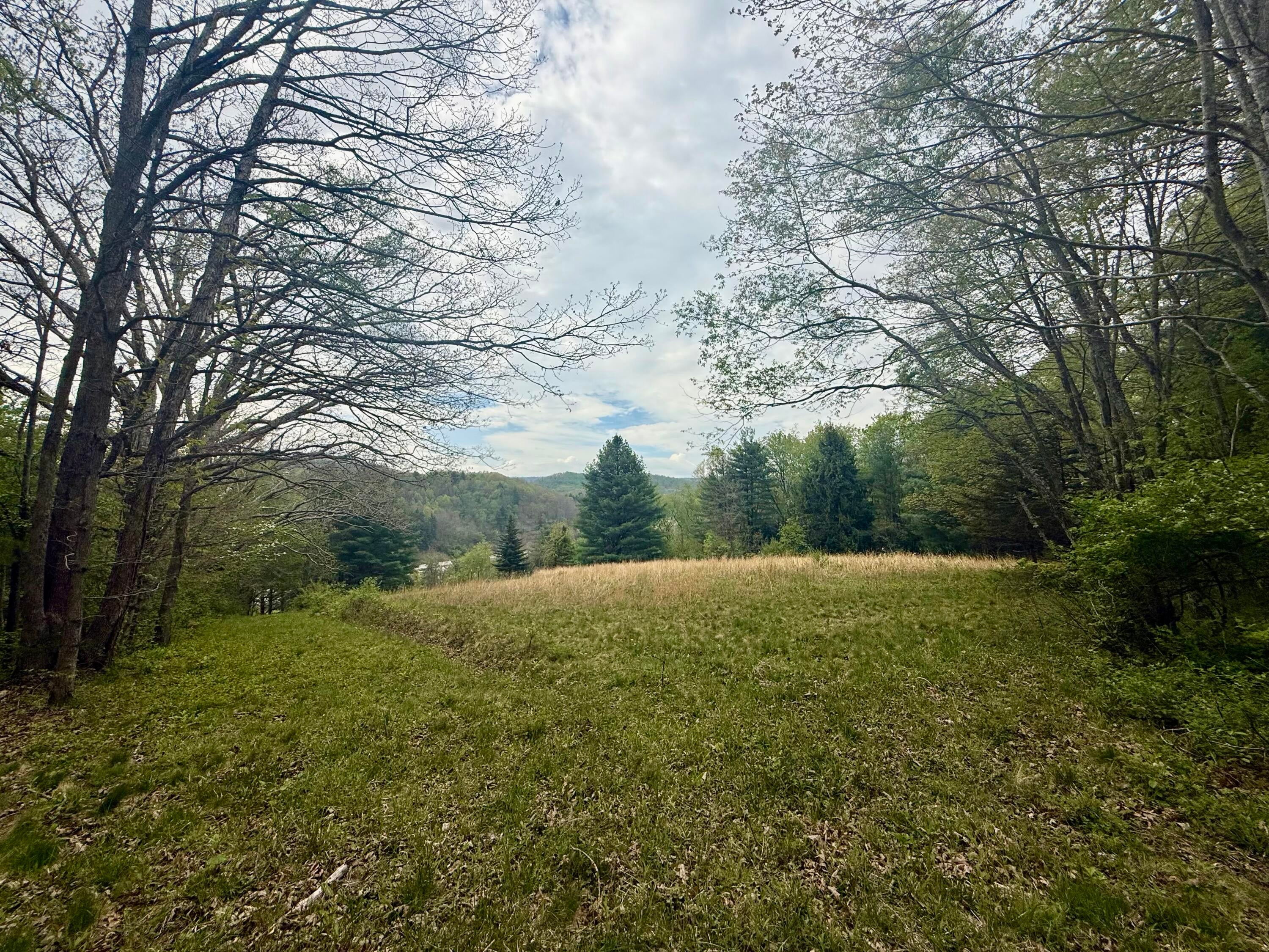 2770 Maple Acres Road Princeton, WV 24739 - Photo 35 of 46 IMG_2314