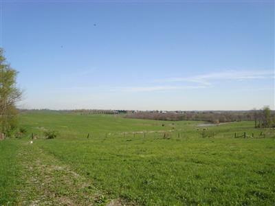 375 Stoney Point Road Paris, KY 40361 - Photo 7 of 25 Photo 7