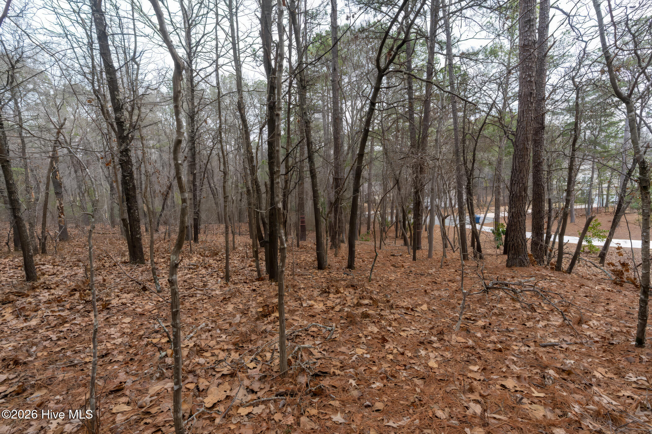 102 Ramsgate Court Seven Lakes, NC 27376 - Photo 3 of 11 A7404177-1A