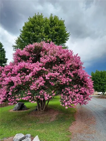 $525,000 | 637 Stokesburg Road, Walnut Cove, NC 27052