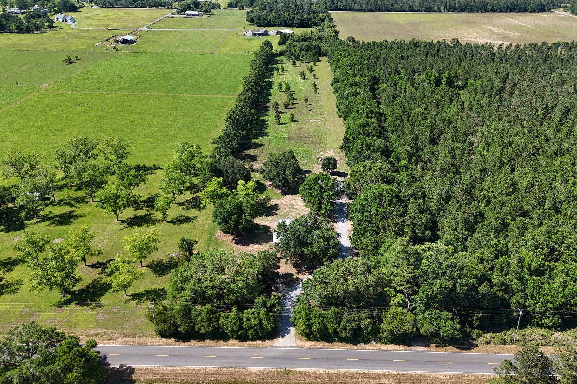29701 Comstock Road Elberta, AL 36530 - Photo 8 of 31