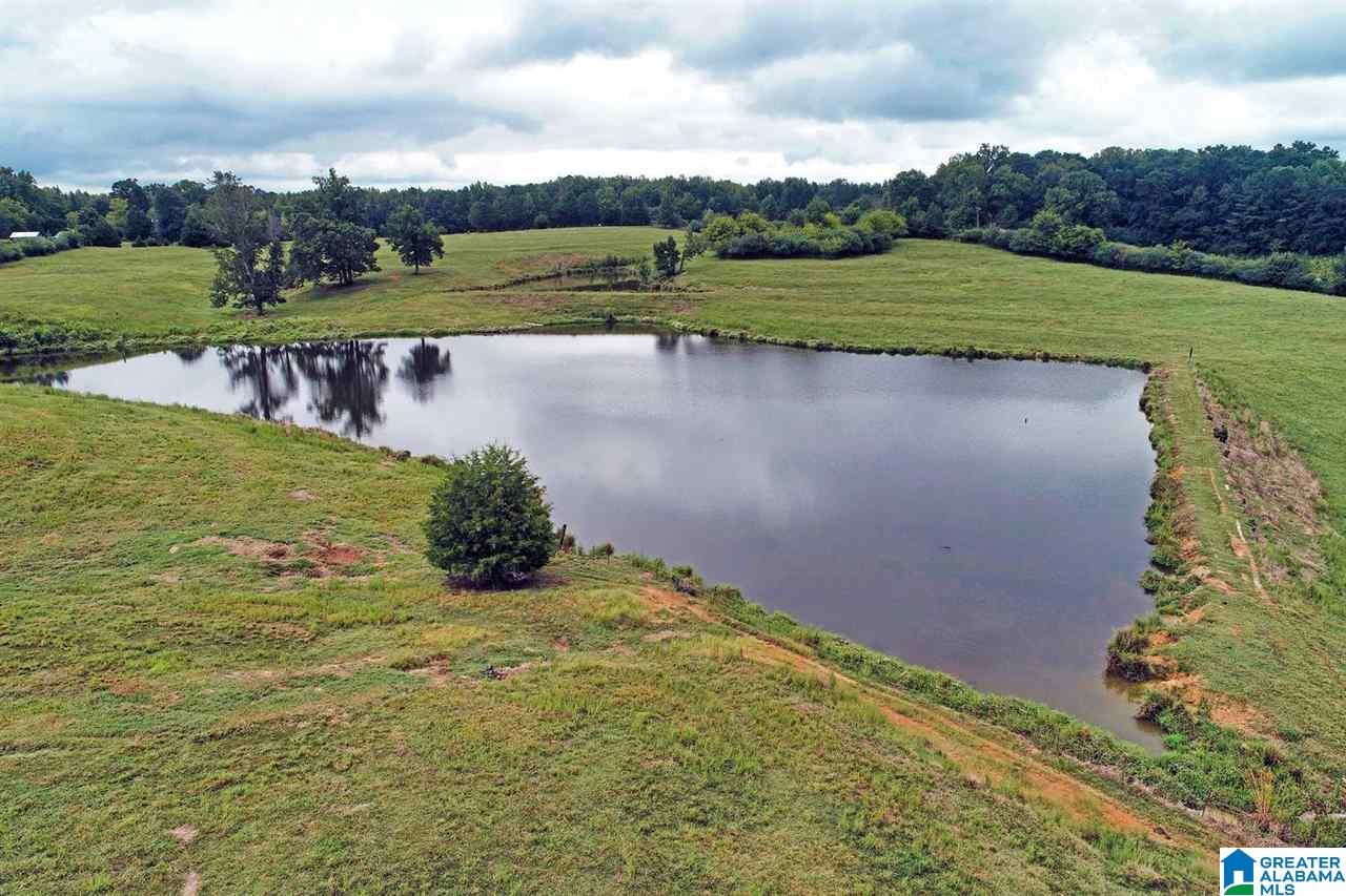 1099 Dailey Road, Unit 1 Altoona, AL 35952 - Photo 12 of 17
