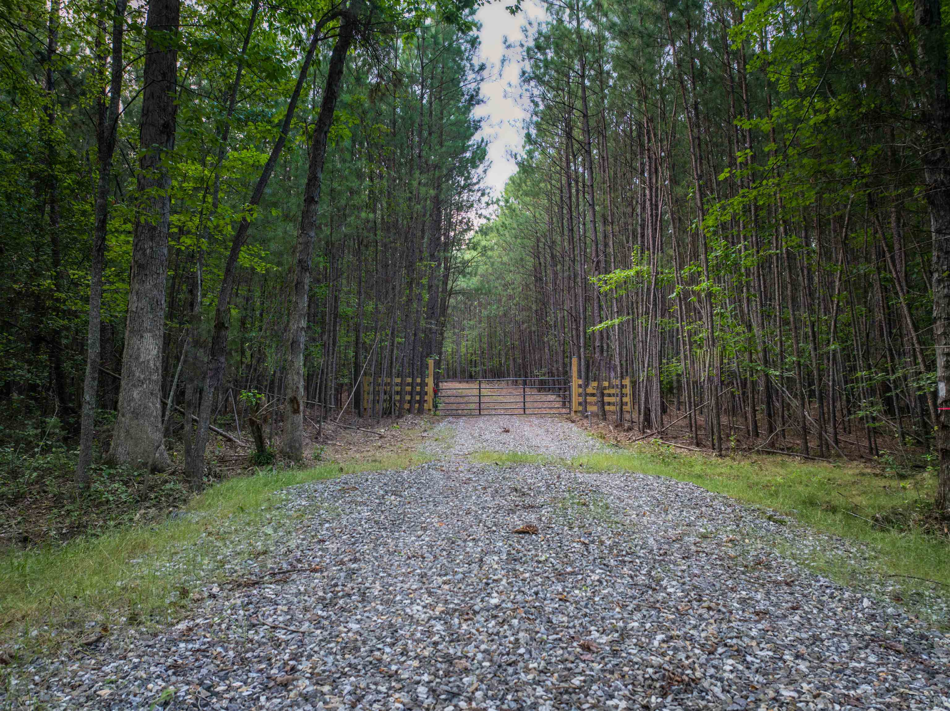 0 Mountain Cut Road Appomattox, VA 24522 - Photo 23 of 55 Gallery Image 23