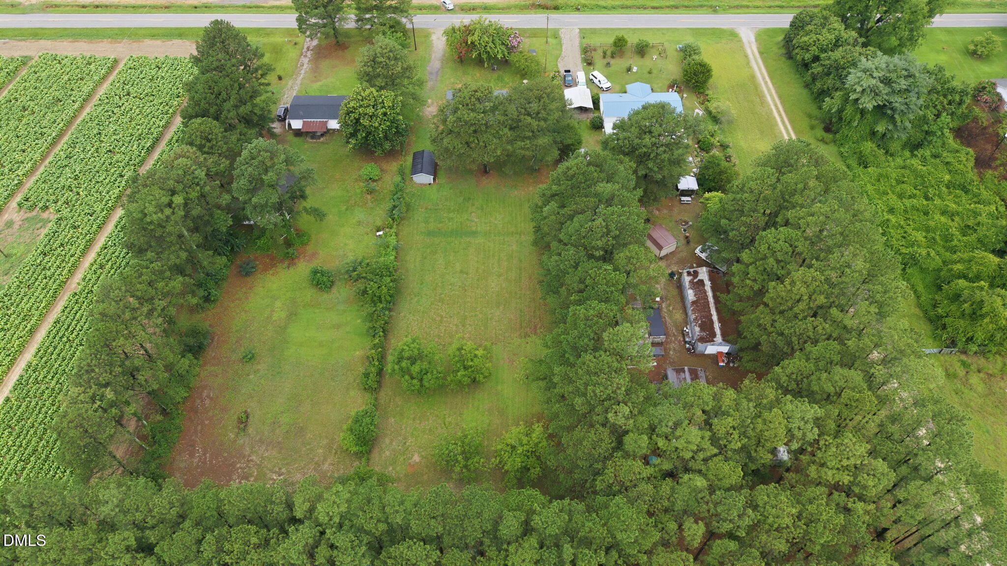 9111 Pace Road Bailey, NC 27807 - Photo 42 of 42 15-web-or-mls-DJI_20260720155600_0221_D