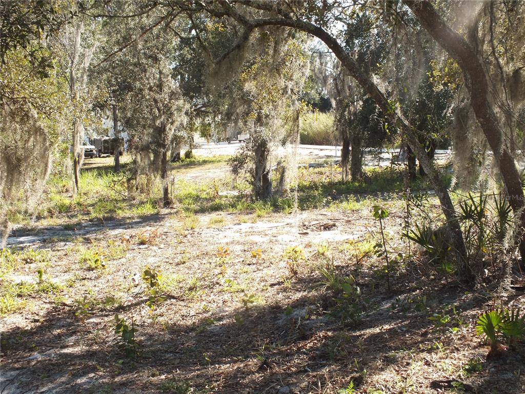 100 Brigham Road Northwest Winter Haven, FL 33881 - Photo 2 of 4