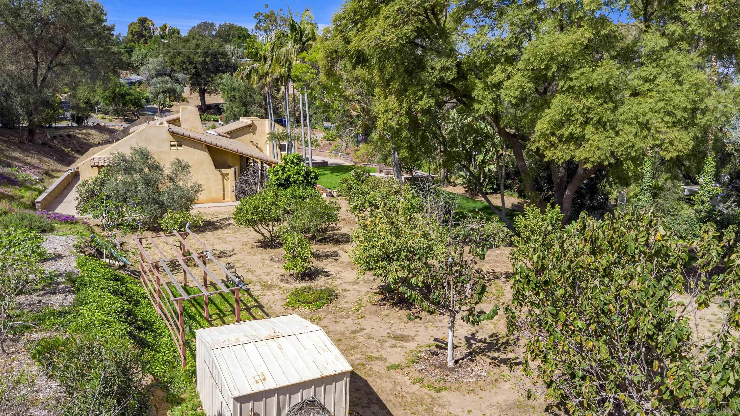 1315 Macadamia Drive Fallbrook, CA 92028 - Photo 6 of 59 a view of a yard with plants