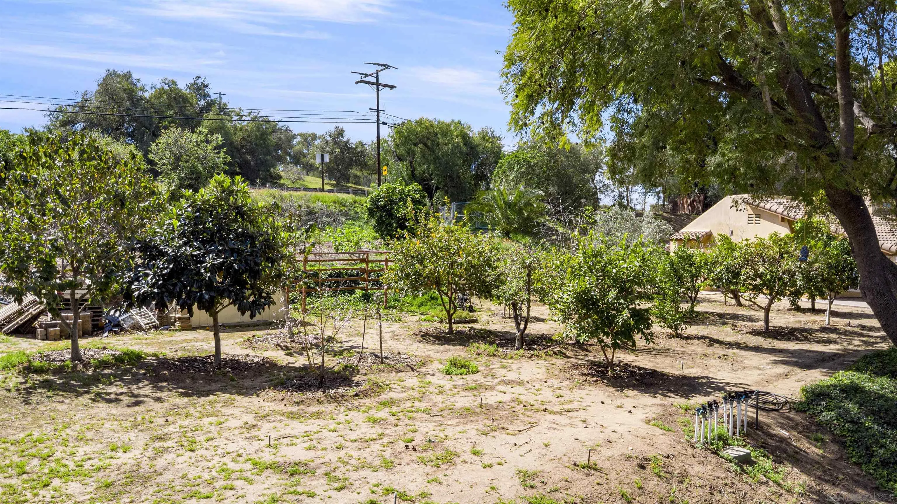 1315 Macadamia Drive Fallbrook, CA 92028 - Photo 7 of 59 a view of a yard with plants and trees
