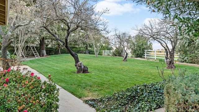 a view of green field with plants and trees