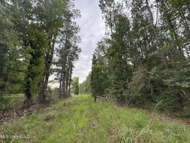 $84,240 | 25232 Louisiana Highway, Independence, LA 70443
