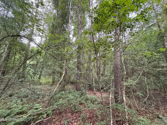 $84,240 | 25232 Louisiana Highway, Independence, LA 70443