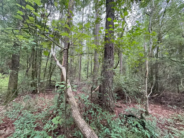 $84,240 | 25232 Louisiana Highway, Independence, LA 70443