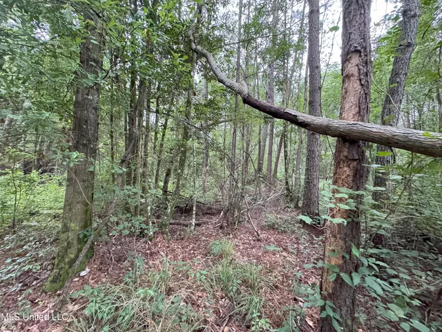 $84,240 | 25232 Louisiana Highway, Independence, LA 70443