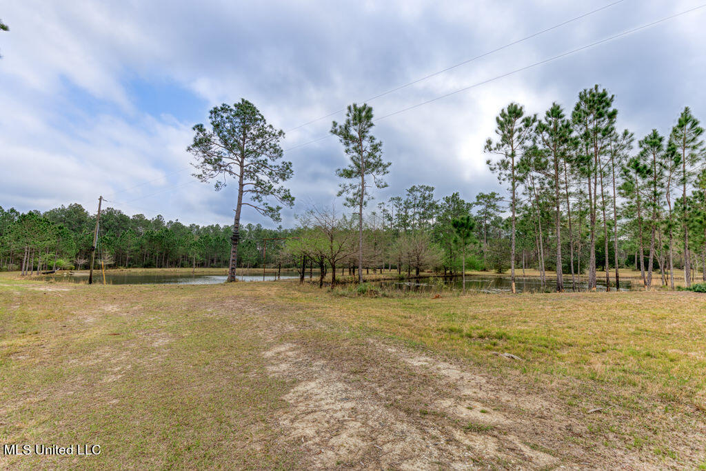 15429 Indian Fork Road Vancleave, MS 39565 - Photo 18 of 63 Drive upto 3 ponds