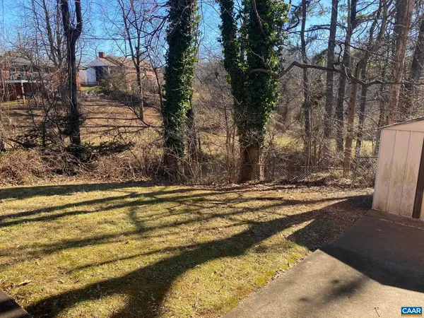 a view of a yard with large trees
