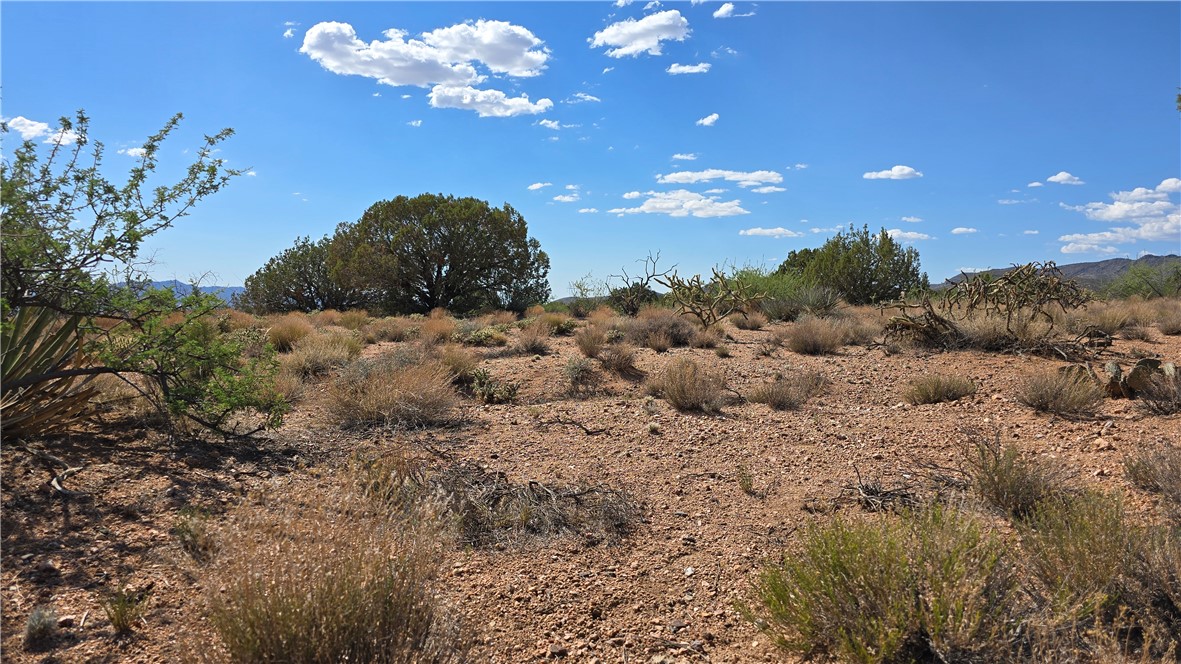 353-36-158 North Tyree Road Hackberry, AZ 86411 - Photo 12 of 19