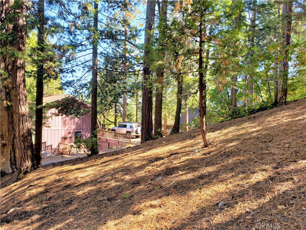 330 Castle Gate Road Lake Arrowhead, CA 92352 - Photo 9 of 12