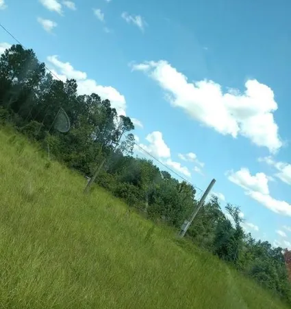 $275,000 | 0 Rocky Road, Baxley, GA 31513