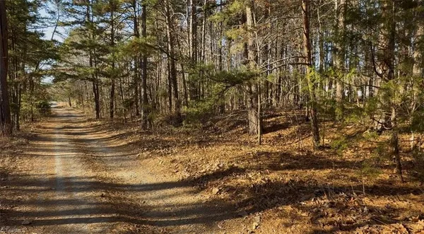 $19,900 | 0 1st Park Avenue, Randleman, NC 27317