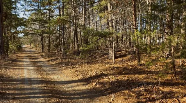 $19,900 | 0 1st Park Avenue, Randleman, NC 27317