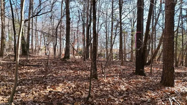 $19,900 | 0 1st Park Avenue, Randleman, NC 27317