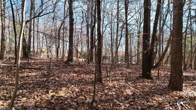 $19,900 | 0 1st Park Avenue, Randleman, NC 27317