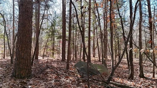 $19,900 | 0 1st Park Avenue, Randleman, NC 27317