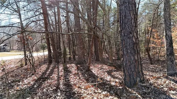 $19,900 | 0 1st Park Avenue, Randleman, NC 27317