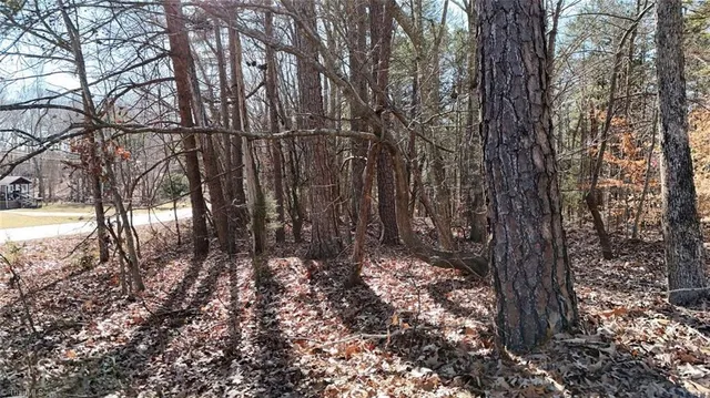 $19,900 | 0 1st Park Avenue, Randleman, NC 27317