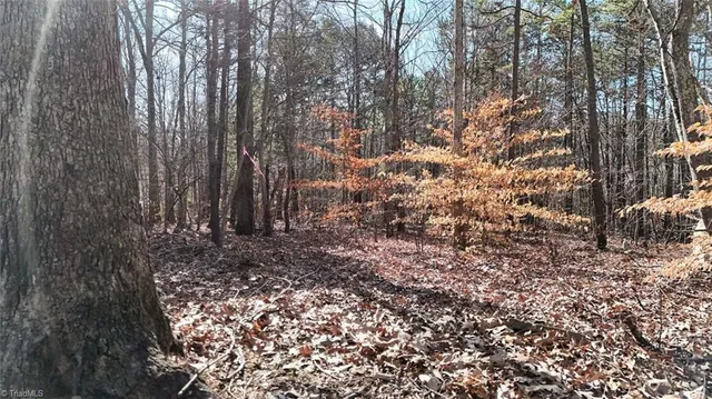 $19,900 | 0 1st Park Avenue, Randleman, NC 27317