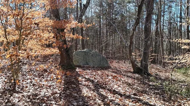 $19,900 | 0 1st Park Avenue, Randleman, NC 27317