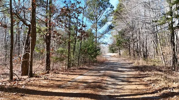 $19,900 | 0 1st Park Avenue, Randleman, NC 27317