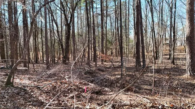 $19,900 | 0 1st Park Avenue, Randleman, NC 27317