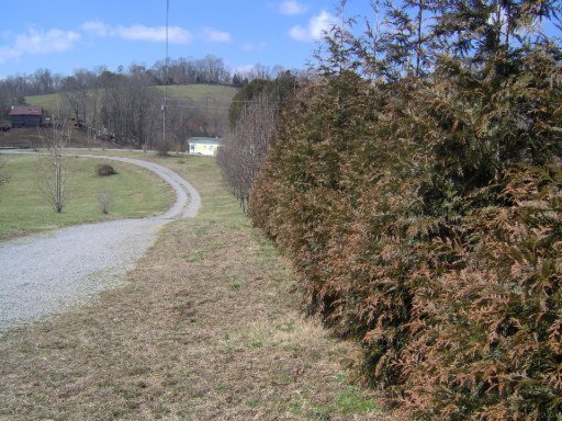 610 Carrol Greenlee Road Rutledge, TN 37861 - Photo 28 of 28 Additional Photo