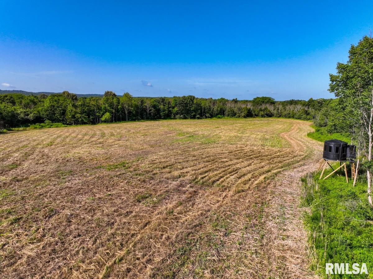 0 Tom Dick Hill Road Stonefort, IL 62987 - Photo 16 of 62